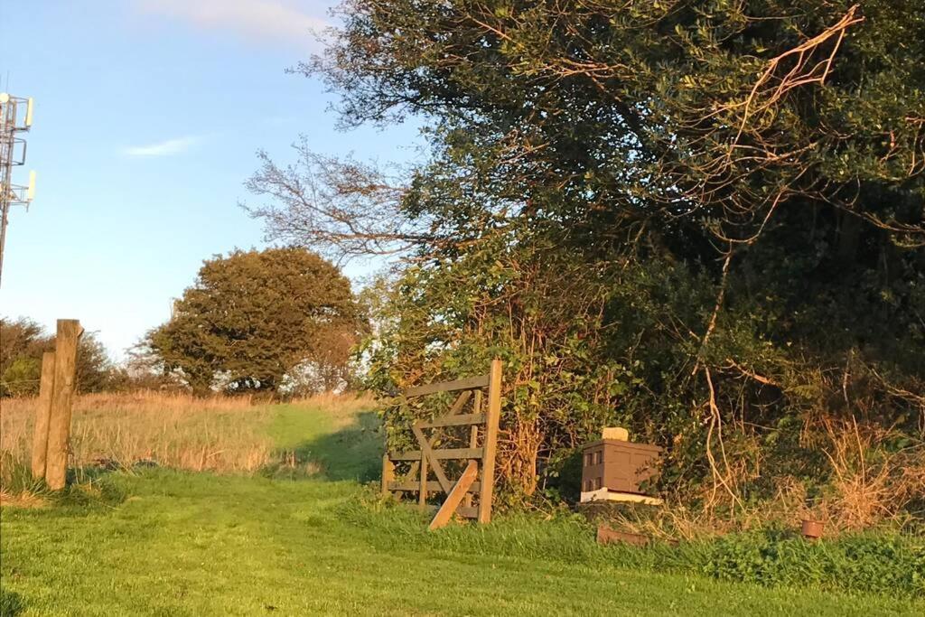 Foxesden, Unique Eco Cabin, Dartmoor Views South Brent ภายนอก รูปภาพ