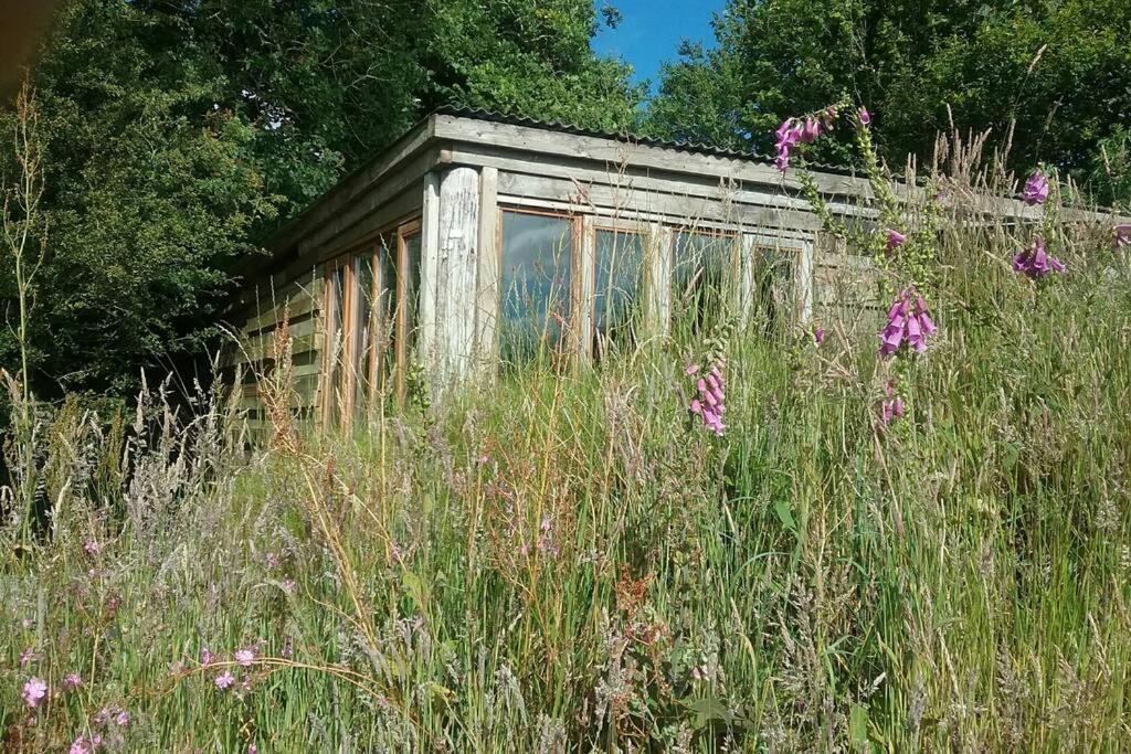 Foxesden, Unique Eco Cabin, Dartmoor Views South Brent ภายนอก รูปภาพ
