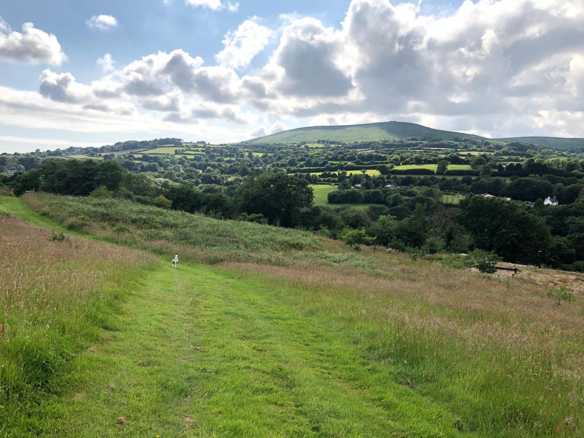 Foxesden, Unique Eco Cabin, Dartmoor Views South Brent ภายนอก รูปภาพ