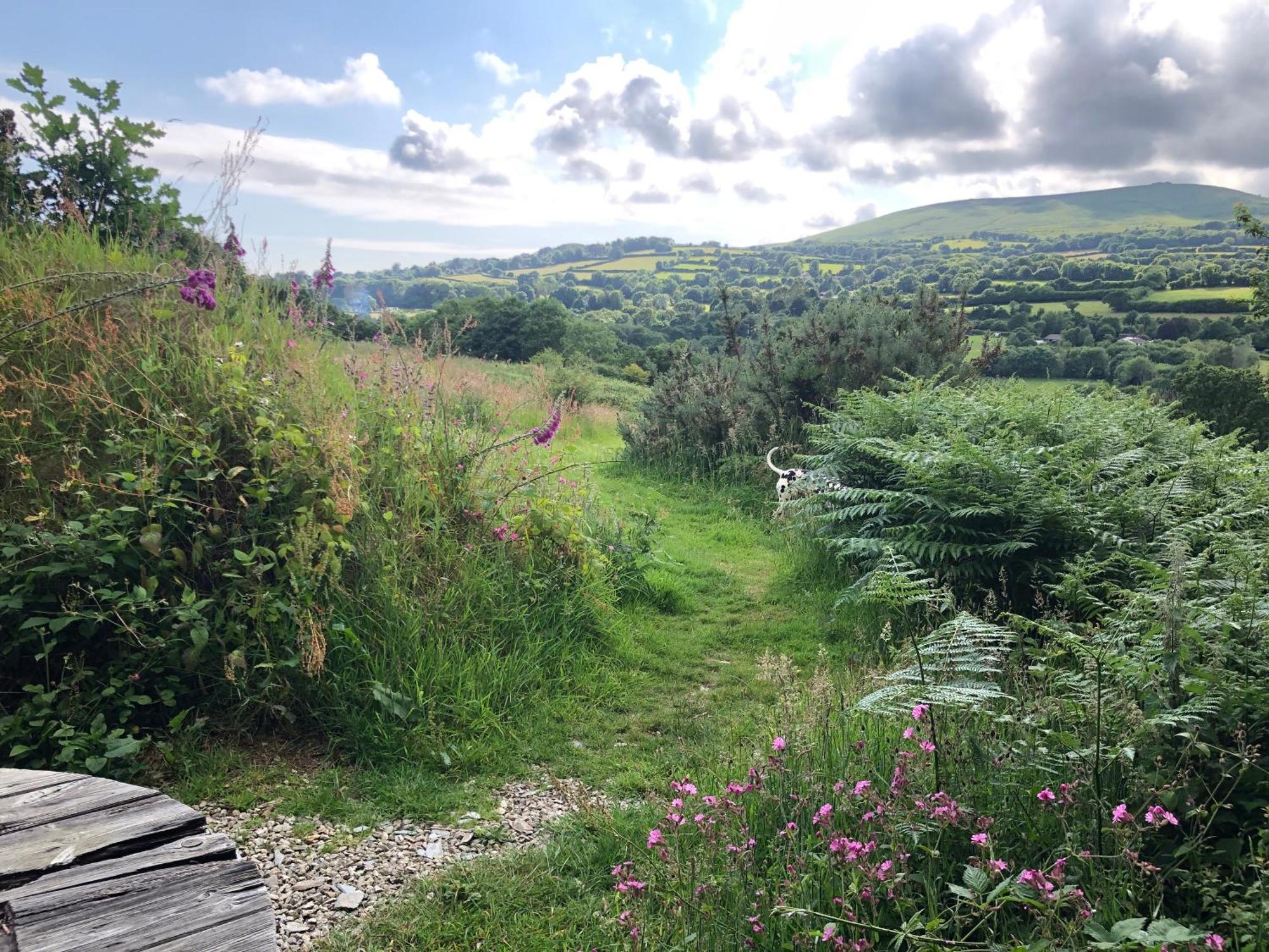 Foxesden, Unique Eco Cabin, Dartmoor Views South Brent ภายนอก รูปภาพ